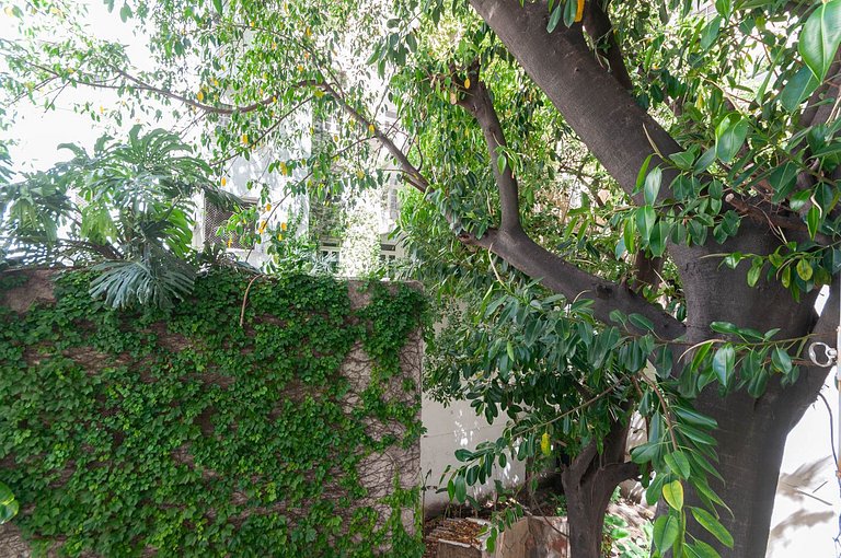 Estudio Silencioso | Vista Verde | Recoleta